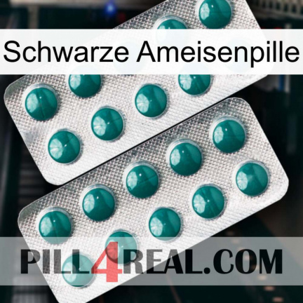 Black Ant Pill dapoxetine2